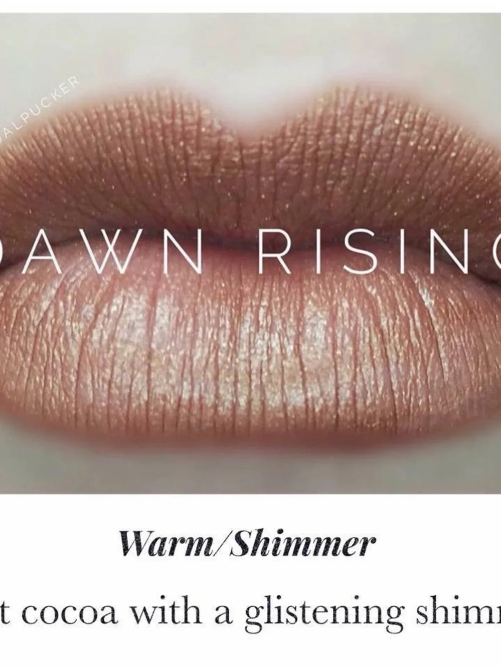 Lipsense by SeneGence Dawn Rising new never opened